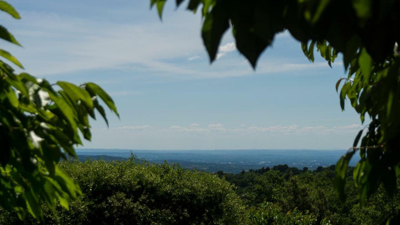 Les Cerisiers De Stella Villa Blauvac ภายนอก รูปภาพ